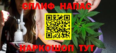 jwh Гатчина