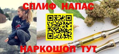 jwh Гатчина
