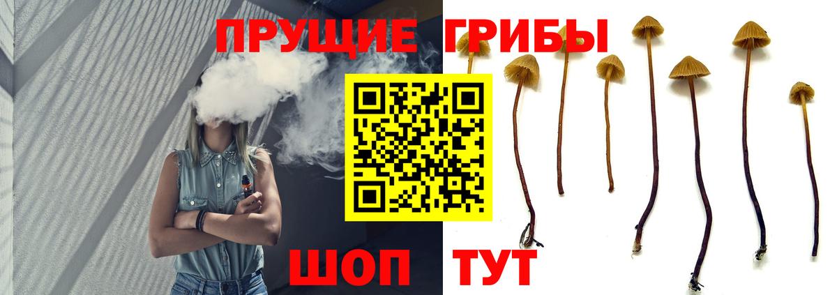 Псилоцибиновые грибы MAGIC MUSHROOMS Таганрог